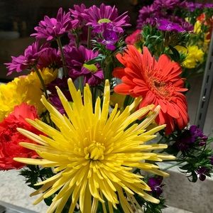 Meet your Posher, Mary